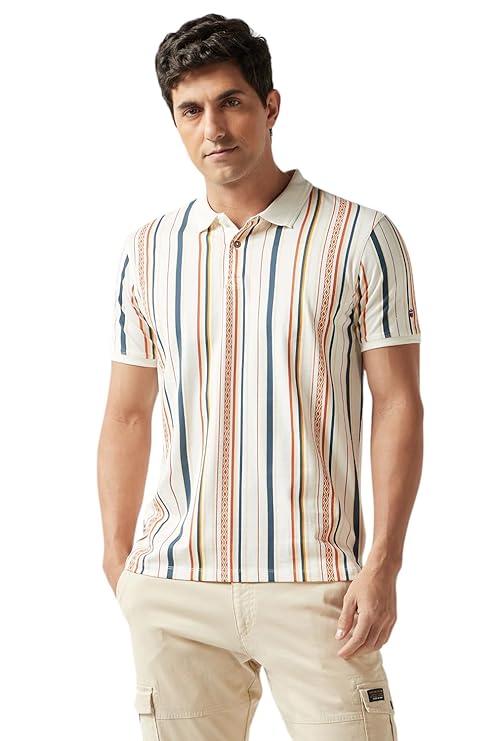 Louis Philippe Men's Cotton Striped Slim Fit T-Shirt